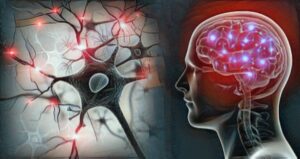 neurociencias