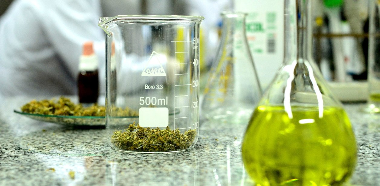 analisis-de-aceite-de-cannabis___YKifQdiU_1256x620__2