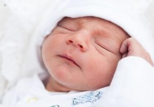 5838be3e-4378-48a9-9450-5e369e4504ad