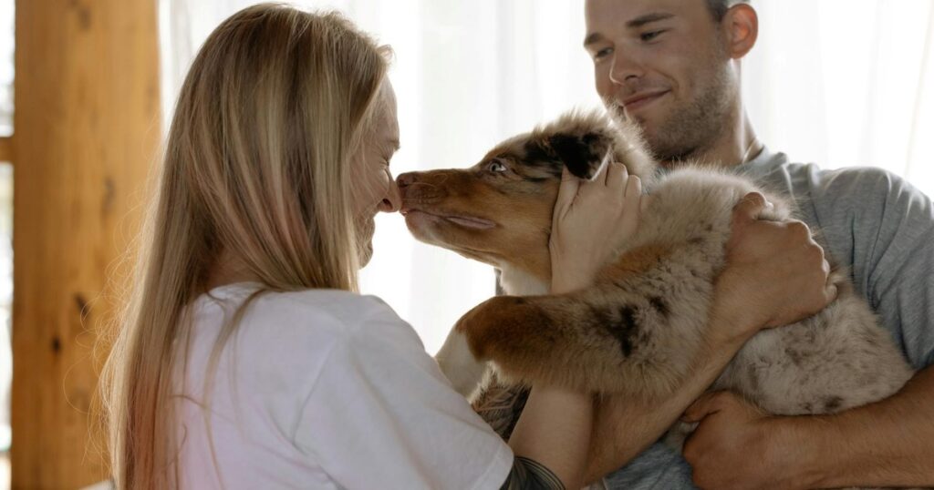 V4FreHyXG_1200x630__1