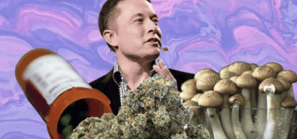 muskcbdrogga