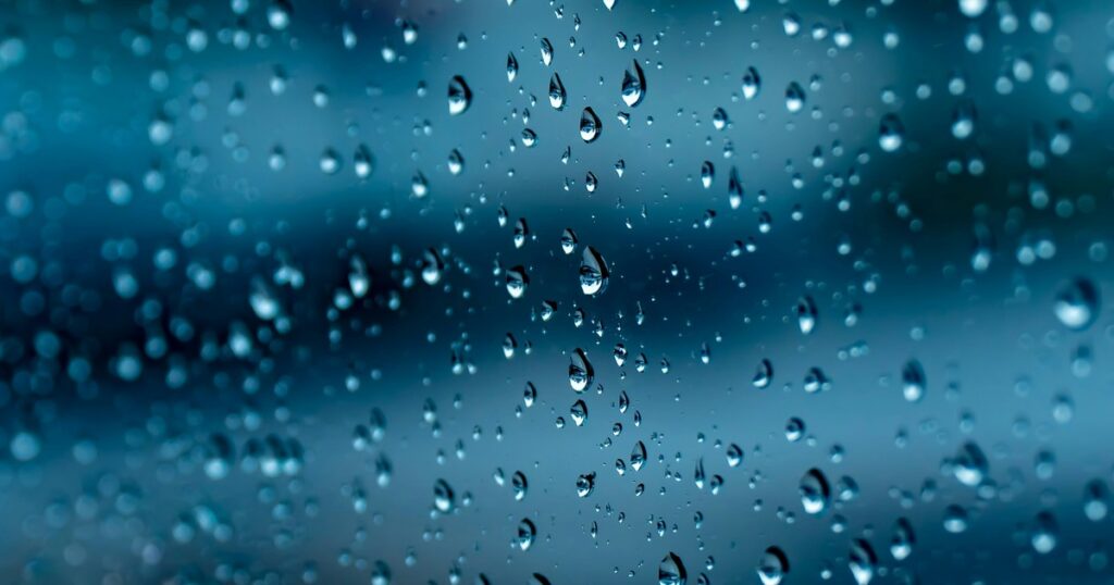 xTYjS08zx_1200x630__1-1