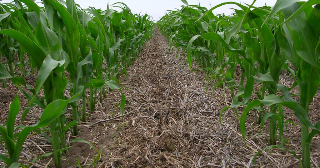 fTb8gcBPw_1200x630__1