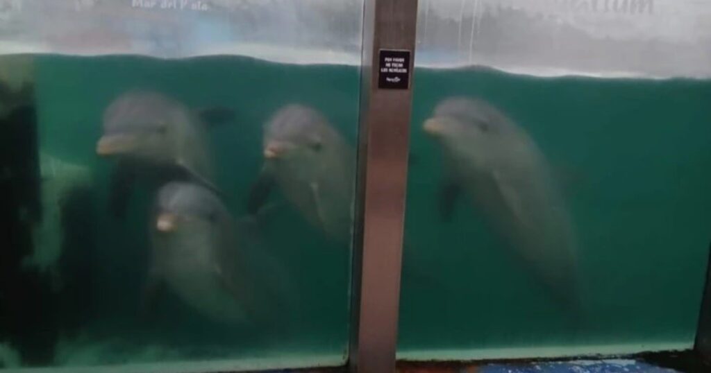 lwLg7s7Sk_1200x630__1