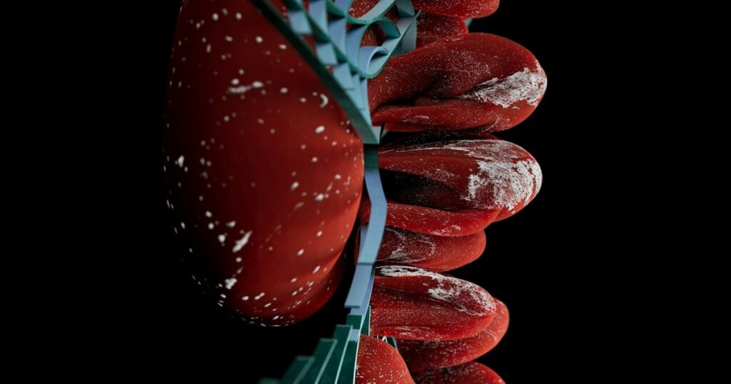 orjZdPJ4o_1200x630__1