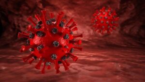 virus-5078900-1280_2312888_20250718132503