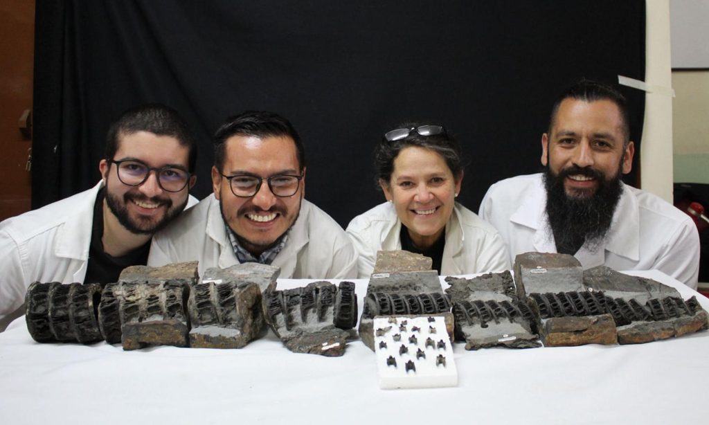 rss-efef827625c34035ced5cadc183cd7fcb899e4589cfw-1024x614-1