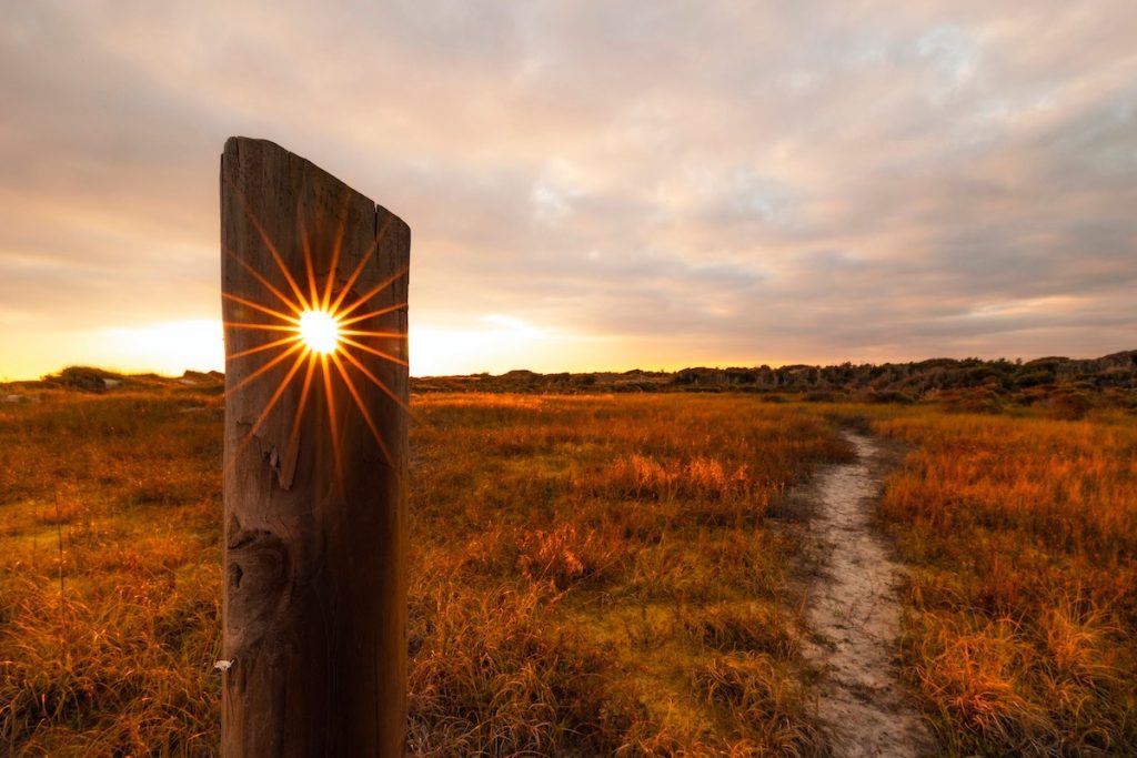 559434024_1252280940263580_4217954764482611346_n-1024x683-1