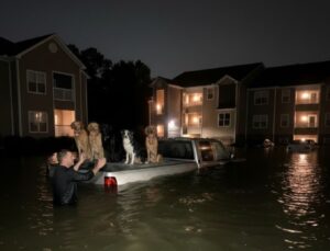 561717228_1362263542568877_5966682261539476422_n