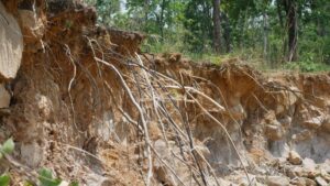 Depositphotos_808715710_L-1024x576-1