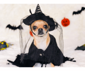 Diseno-sin-titulo-1-1