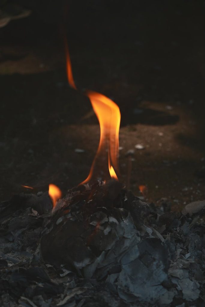 pexels-photo-34295021-683x1024-1