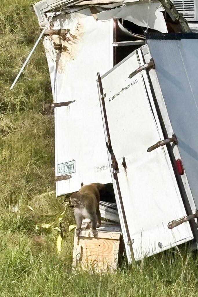 rss-efe3a63f25d14a6f598112a48f1194c0888e1b7e8d3w-683x1024-1