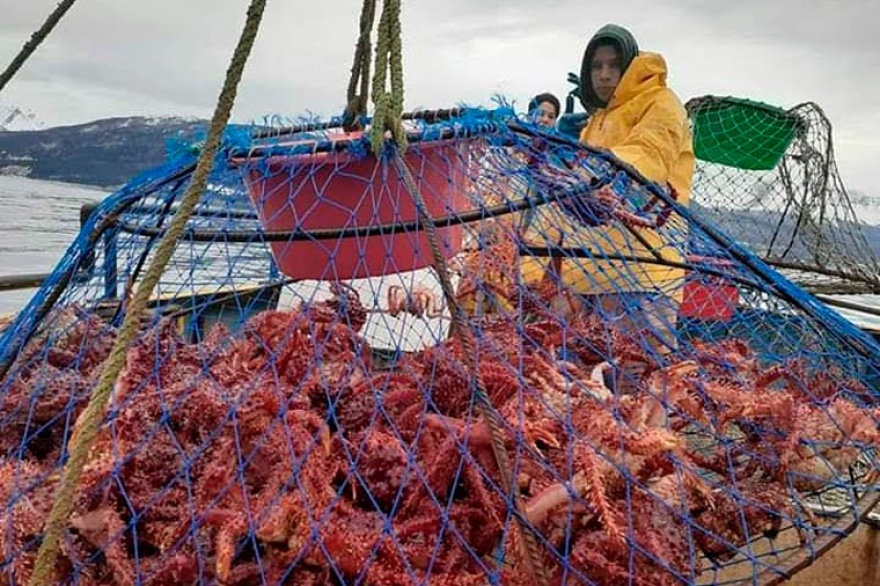 20210826090814_revista_puerto_centolla_01