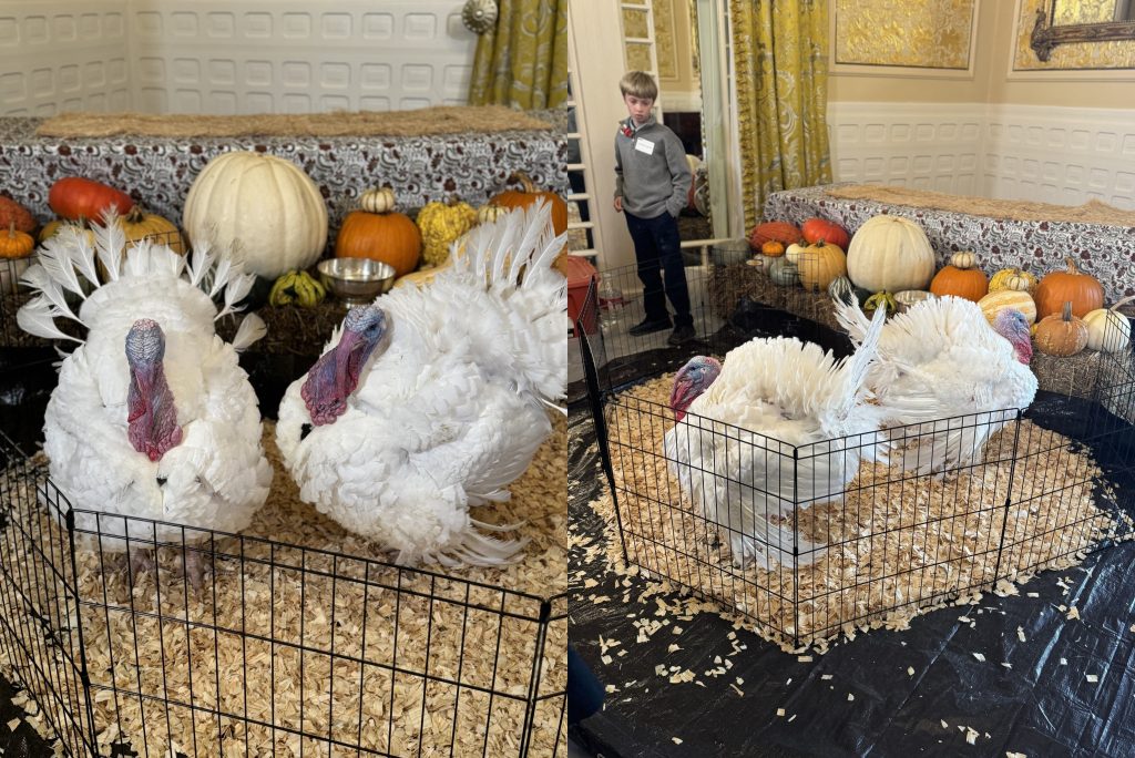 pavos-Krispy-Kreme-1024x684-1