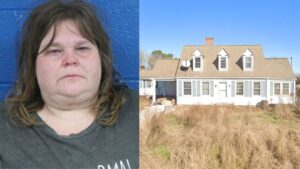 Diseno-sin-titulo-18-1024x576-1