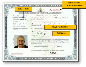 Picture1-N-550-Current-Version-1024x796-1