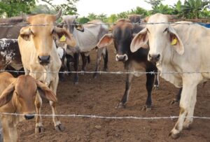 rss-efe5af9115051720aad6aaefdca438dc1b86ffa1b8dw-1024x692-1