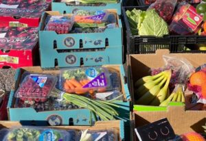 611606521_1208980268041970_4873444554118582446_n-1-1024x702-1