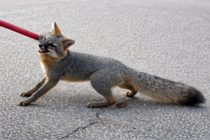 7431796c-cef3-47e5-9a5e-00f2cb74f03c-1024x683-1