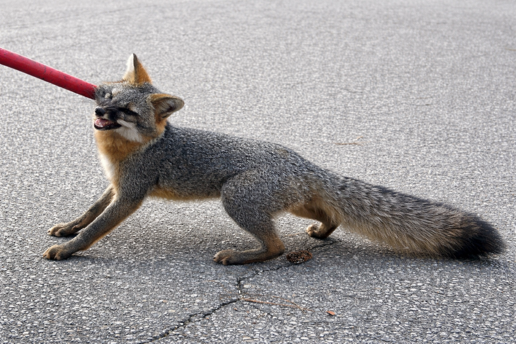 7431796c-cef3-47e5-9a5e-00f2cb74f03c-1024x683-1