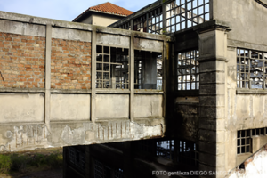 005-CAMPOMAR-_foto-diego-sandstede_048-2