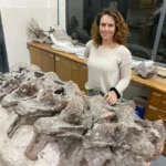 Descubren en Chubut al Bicharracosaurus