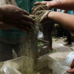 El precio de los alimentos sube y los productores enfrentan un “deterioro productivo, comercial y social”