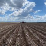 Modificación de ley de tierras en Argentina